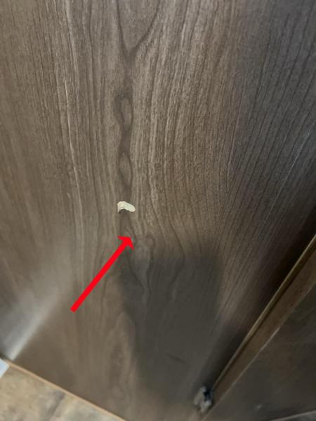 2018 80WSL Travelaire Camper - Image 22