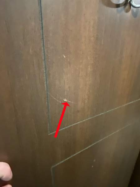 2017 Keystone Premier 19FBR - Image 23