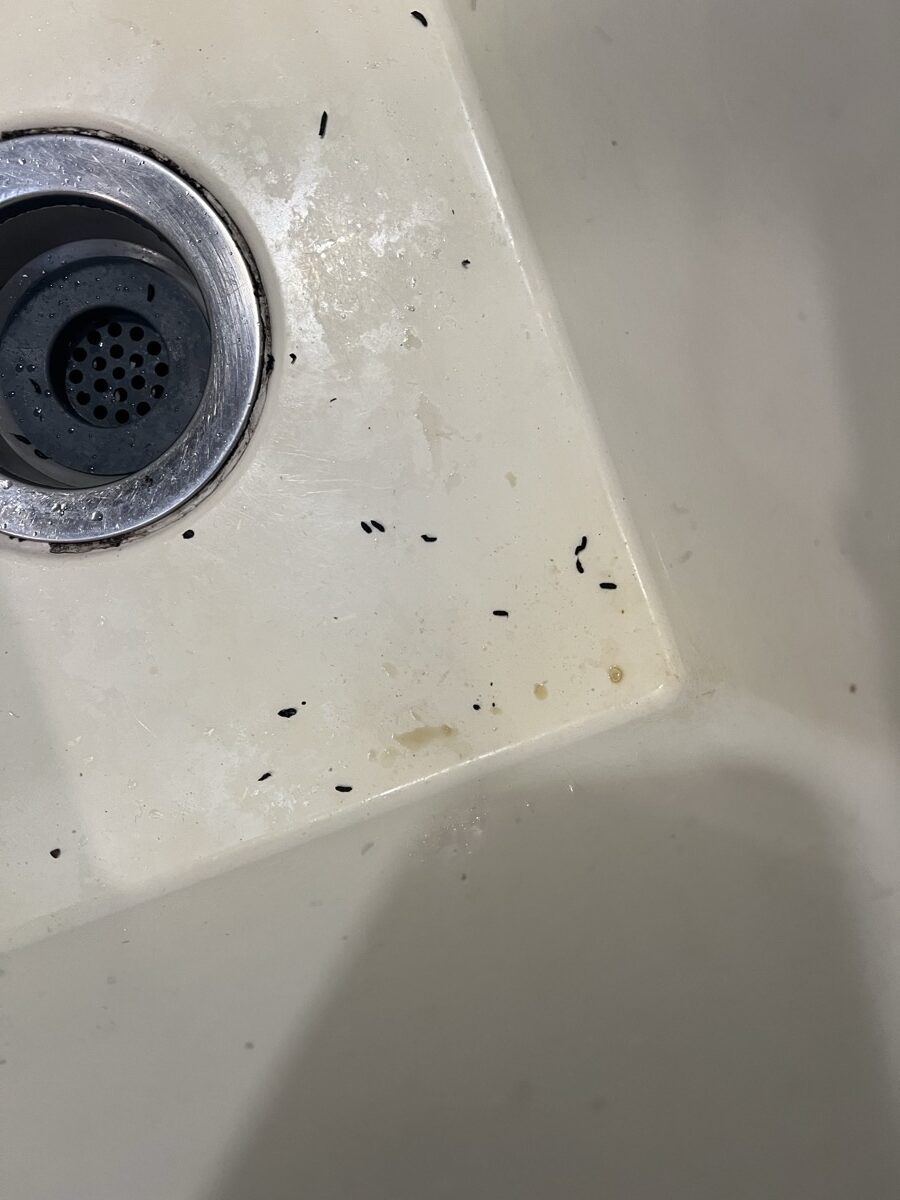 2018 Jayco Jayflight 20720B - Image 14