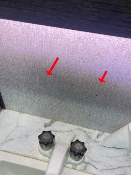 2020 Dutchmen Kodiak FKDS20 - Image 25