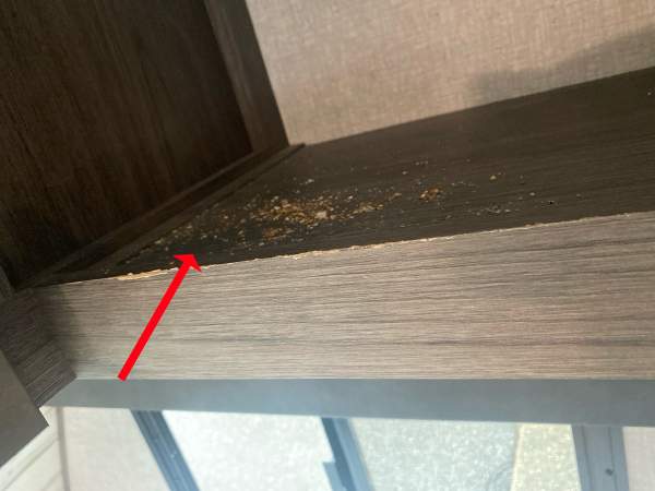 2020 Dutchmen Kodiak FKDS20 - Image 28