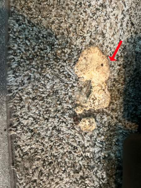 2018 Keystone Montana HM344RL - Image 26