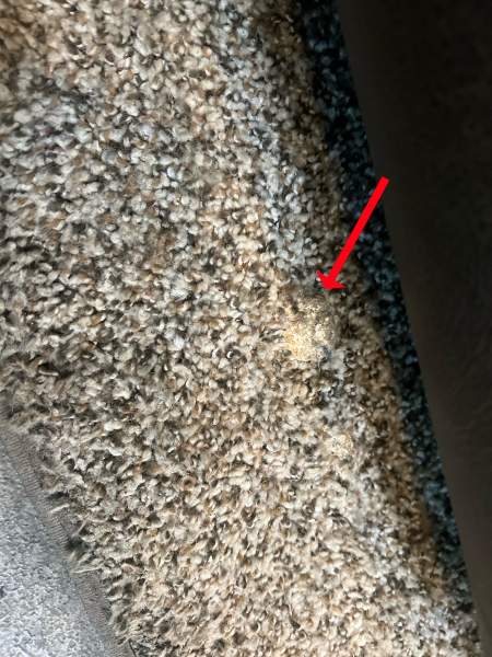 2018 Keystone Montana HM344RL - Image 25