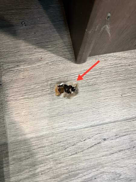 2019 Open Range 371MBH Fifth Wheel - Image 14