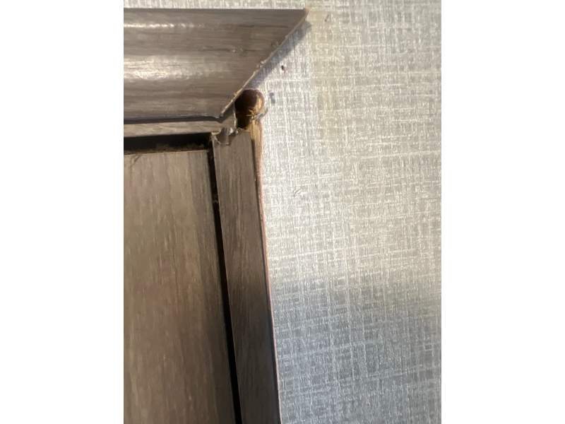 2020 East to West 291RK - Image 24