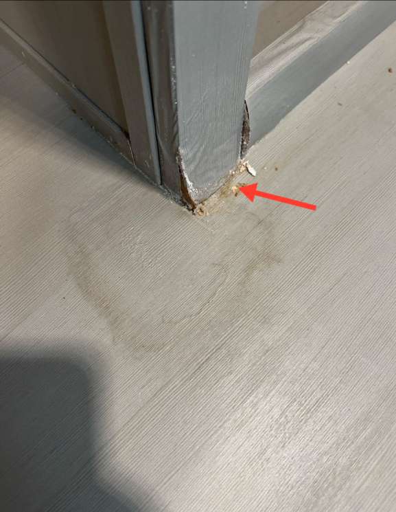 2023 Forest River Wildwood Glen 308RL - Image 9