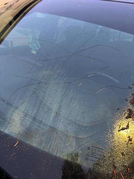 2019 Dodge RAM 1500 Rebel - Image 15