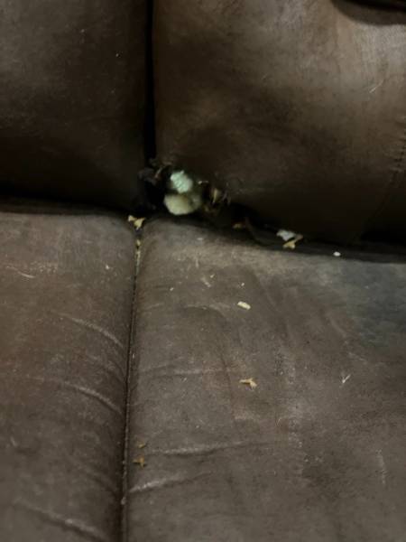 2015 Heartland Big Country 3450TS - Image 30