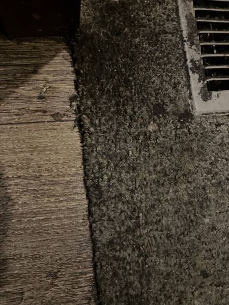 2015 Heartland Big Country 3450TS - Image 23