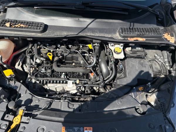 2019 Ford Escape SE 4D Utility 4WD - Image 15